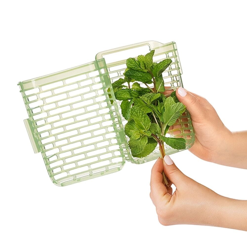 GreenSaver Herb Keeper - Small L7