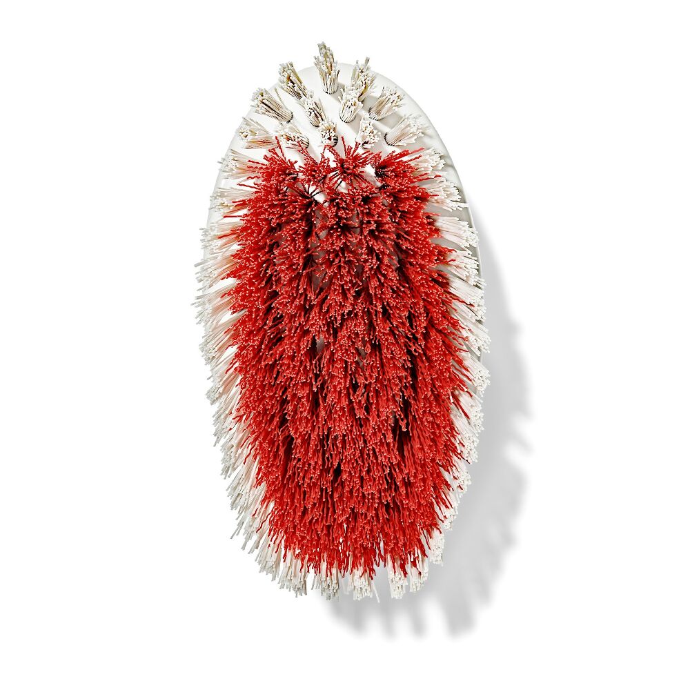 All-Purpose Scrub Brush 2-Pack P8
