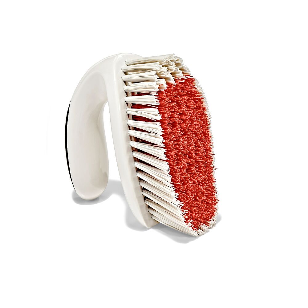 All-Purpose Scrub Brush 2-Pack P8
