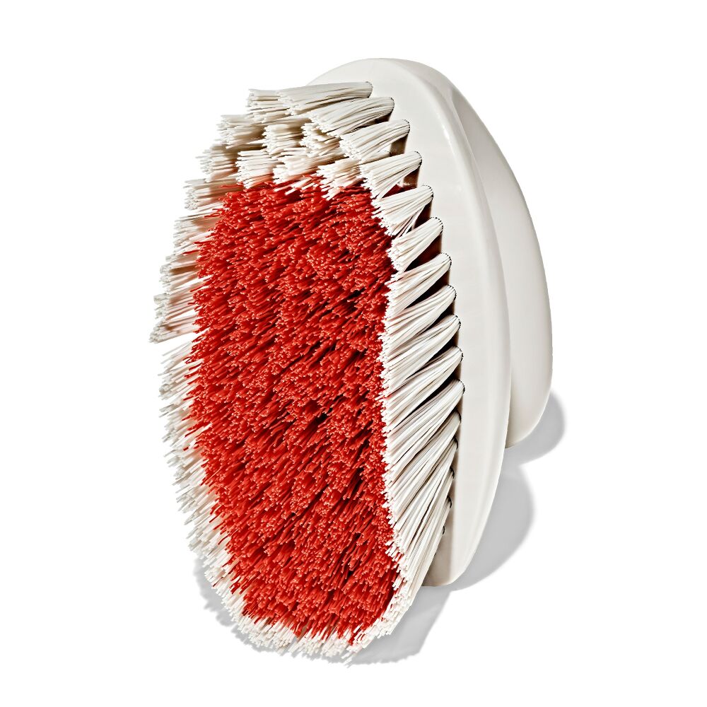 All-Purpose Scrub Brush 2-Pack P8