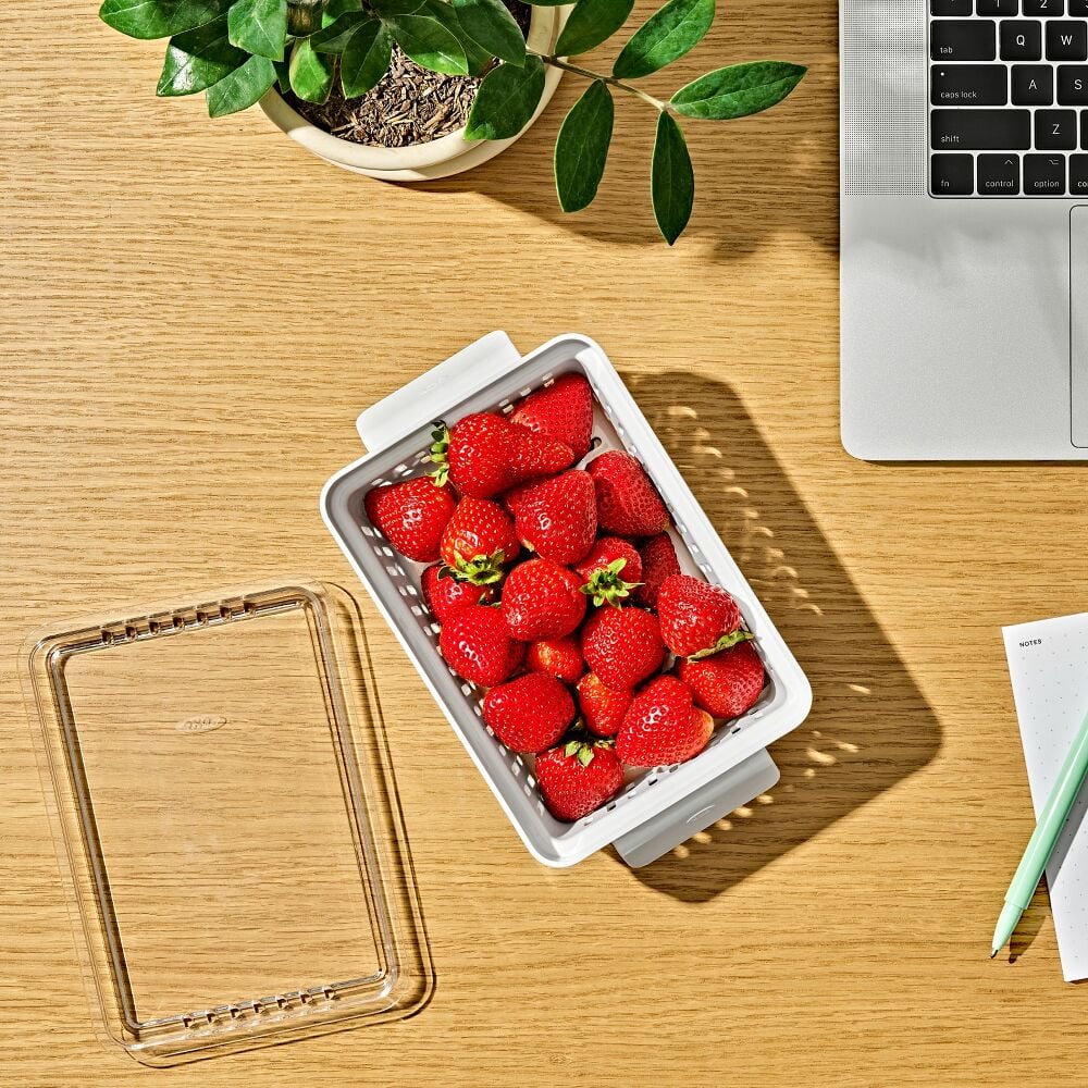 Produce Saver - Berry Keeper 2-Piece Set R9