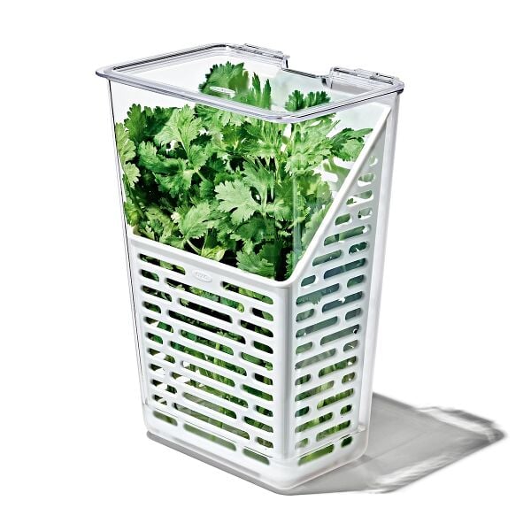 Produce Saver - Herb Keeper P3