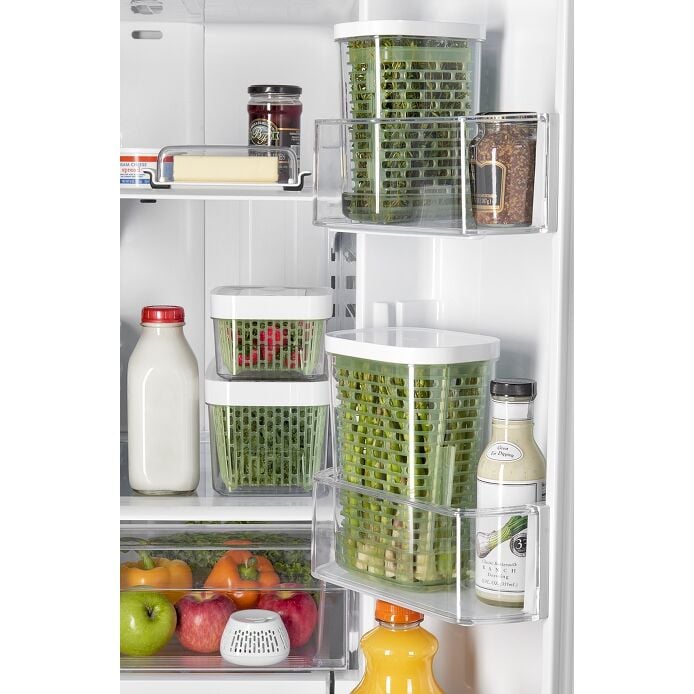 GreenSaver Standing Crisper Insert - 1 Pc T6