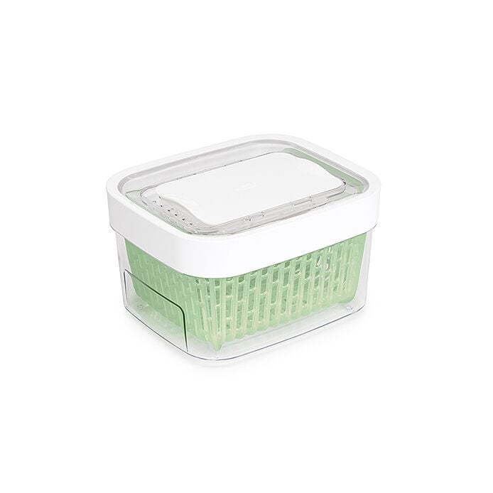 GreenSaver Produce Keeper (1.6 Qt) X6