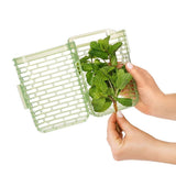 GreenSaver Herb Keeper - Small L7