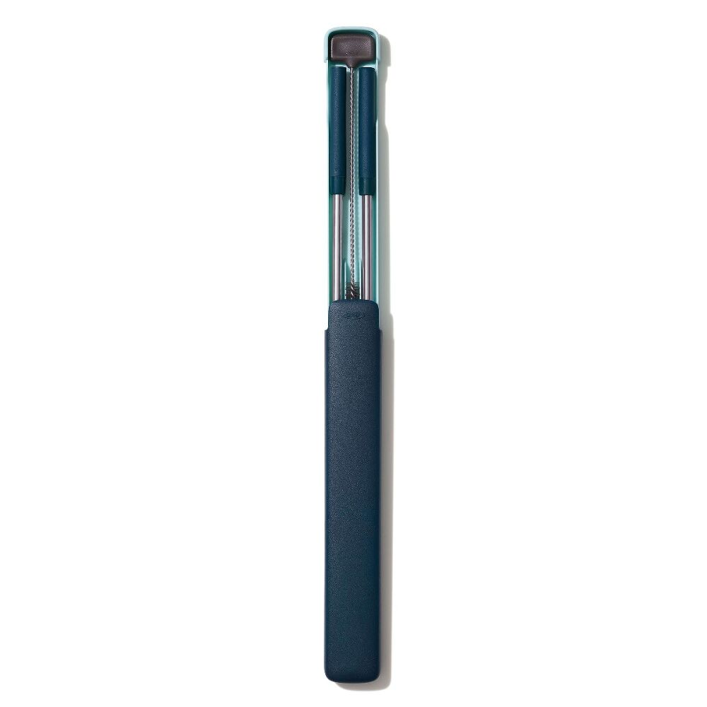 4-Piece Reusable Straw and Brush Set with Case B9