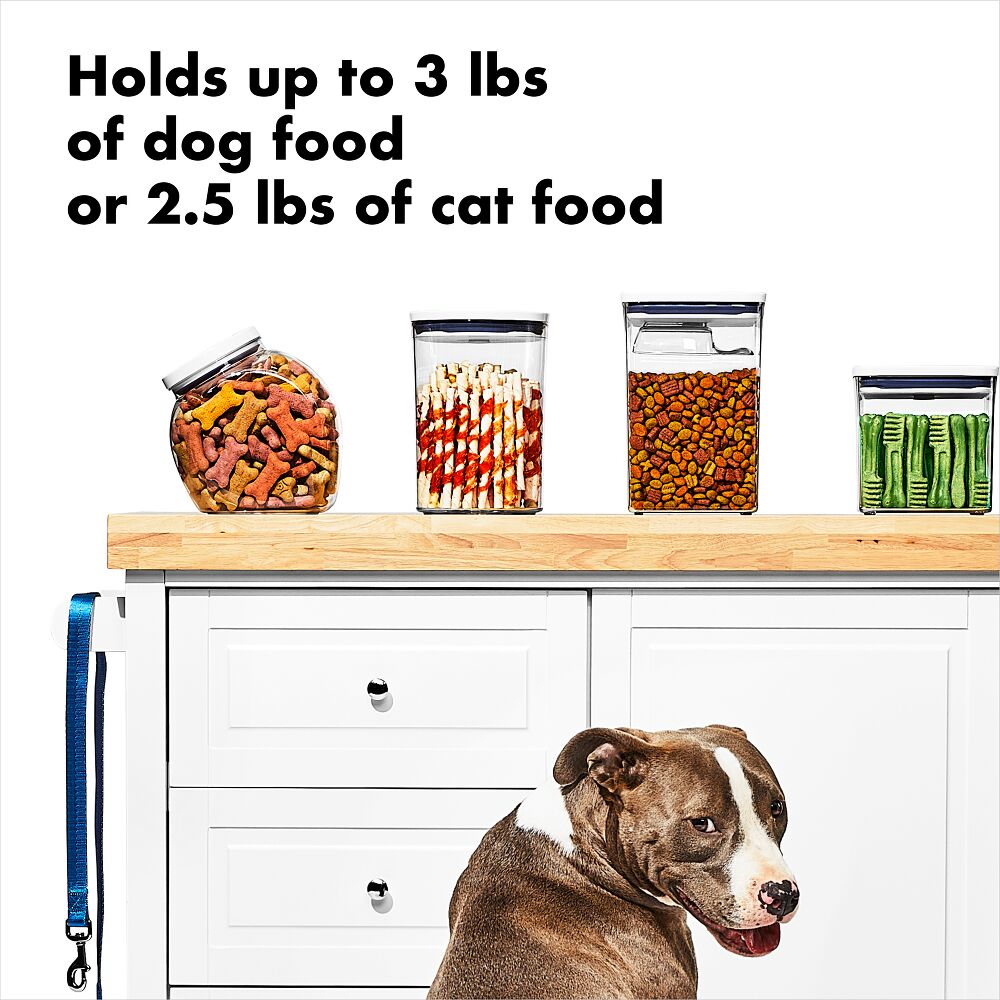 OXO Good Grips Pet POP Container – 3.3 Qt/3.1 L L2
