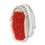 All-Purpose Scrub Brush 2-Pack P8