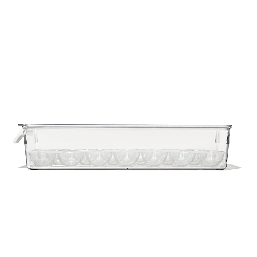 Refrigerator Egg Bin With Removable Tray B2