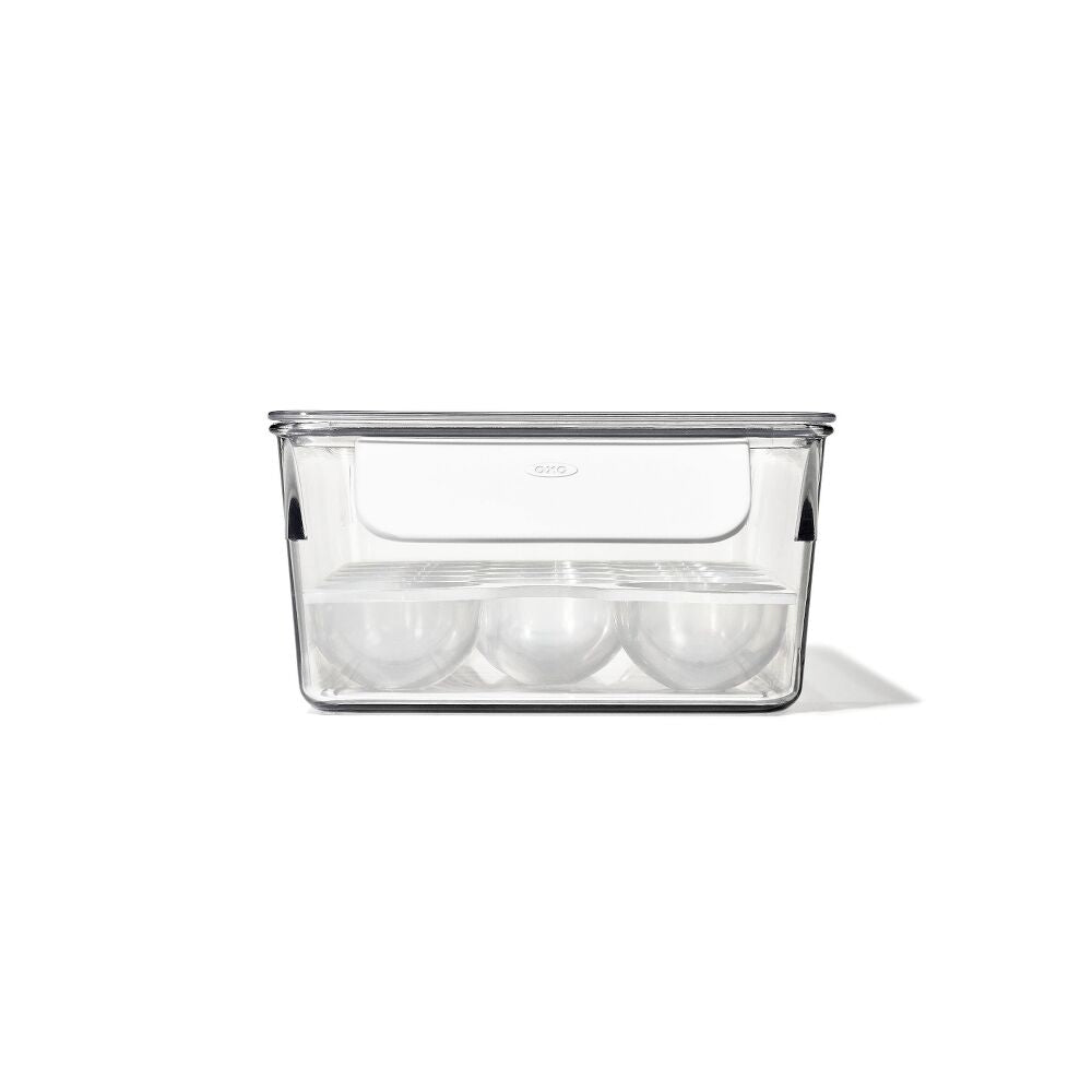 Refrigerator Egg Bin With Removable Tray B2