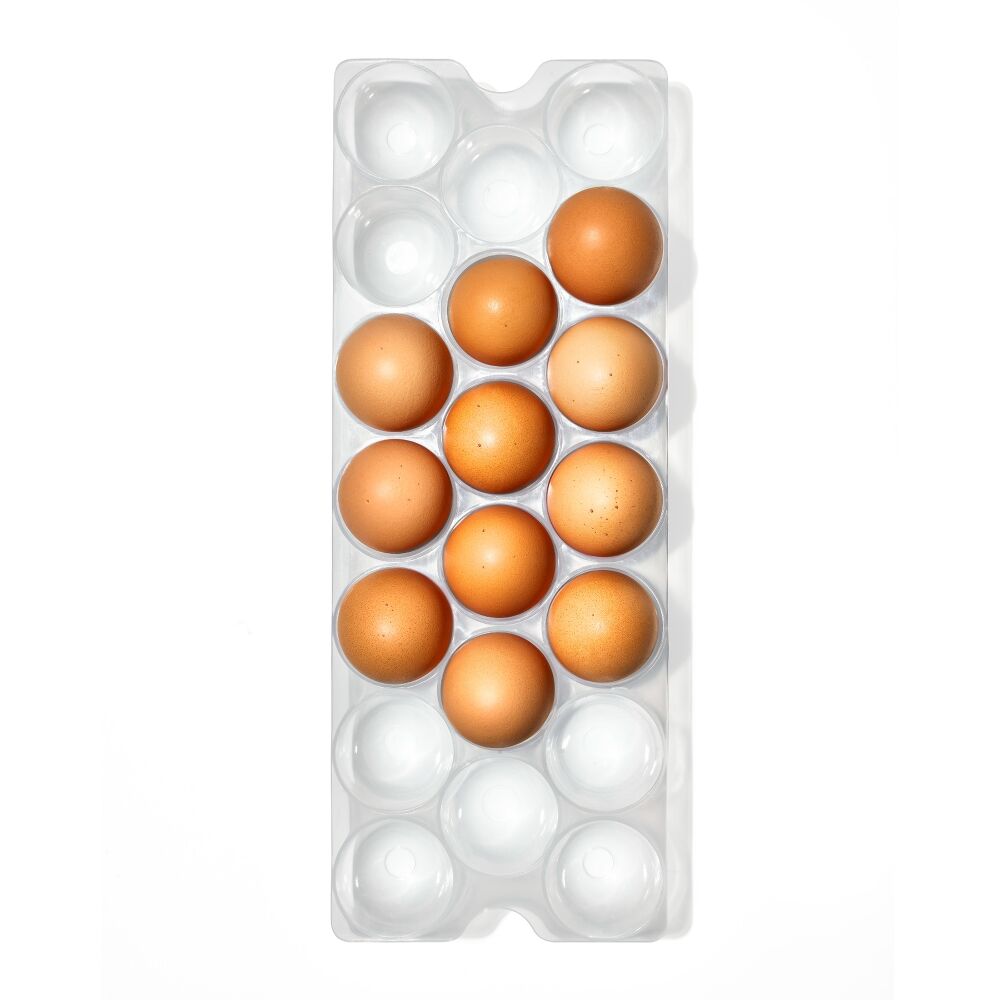 Refrigerator Egg Bin With Removable Tray B2