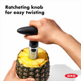 Stainless Steel Pineapple Slicer V9