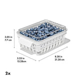 Produce Saver - Berry Keeper 2-Piece Set R9