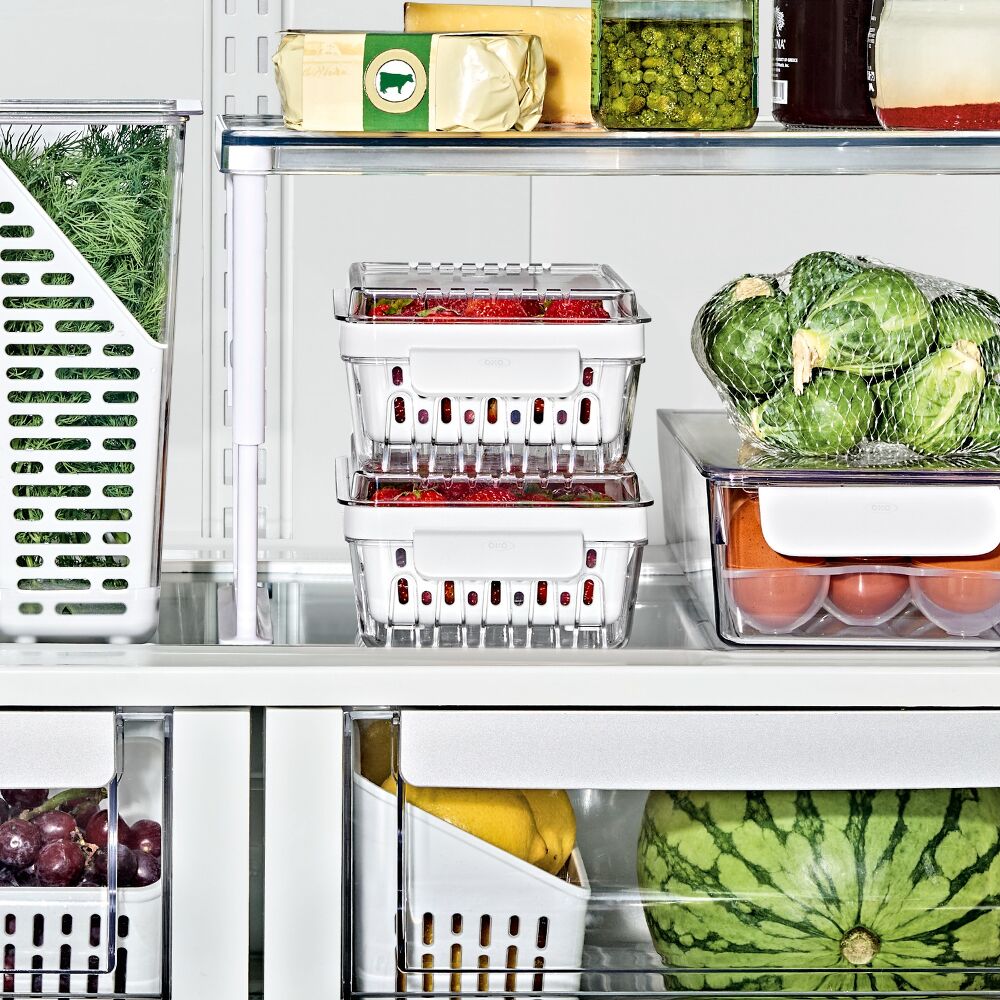 Produce Saver - Berry Keeper 2-Piece Set R9
