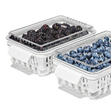 Produce Saver - Berry Keeper 2-Piece Set R9