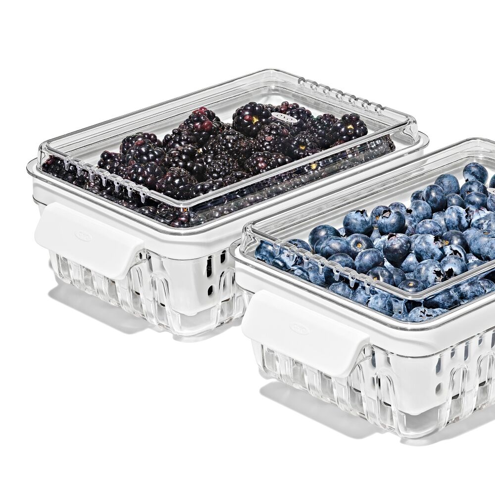 Produce Saver - Berry Keeper 2-Piece Set R9