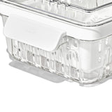 Produce Saver - Berry Keeper 2-Piece Set R9