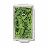 Produce Saver - Medium Bin J1