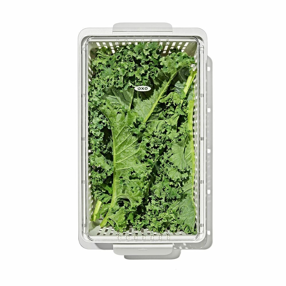 Produce Saver - Medium Bin J1