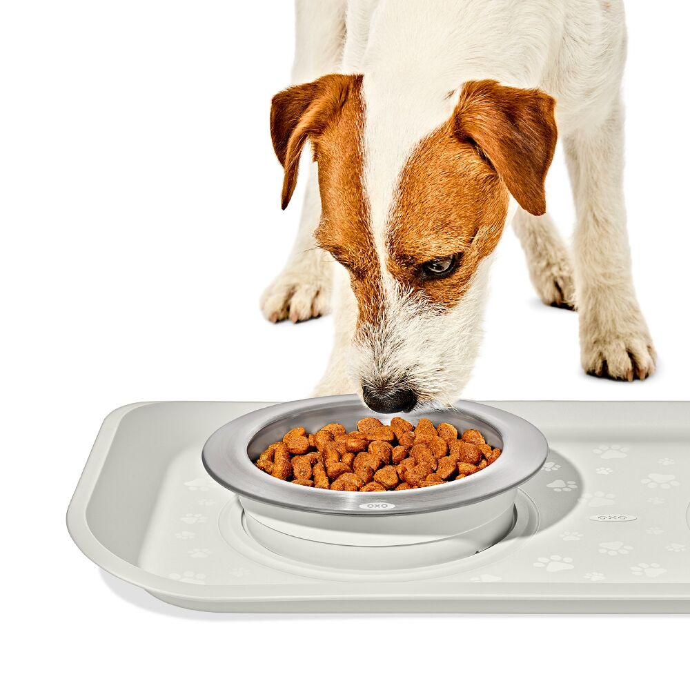 OXO Pet Nonslip Bowl - Small, 1 Cup / 240 mL E0