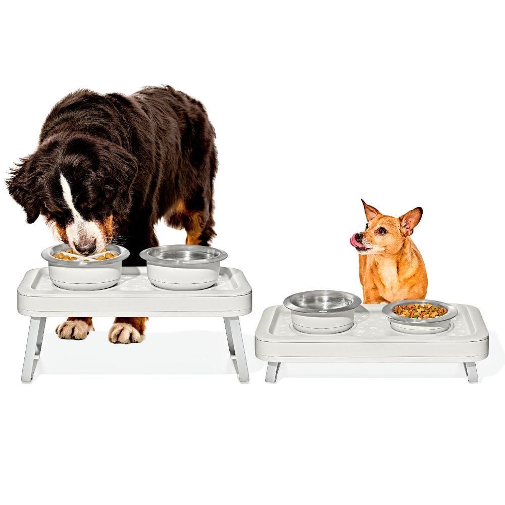 OXO Pet Adjustable Elevated Feeder U0