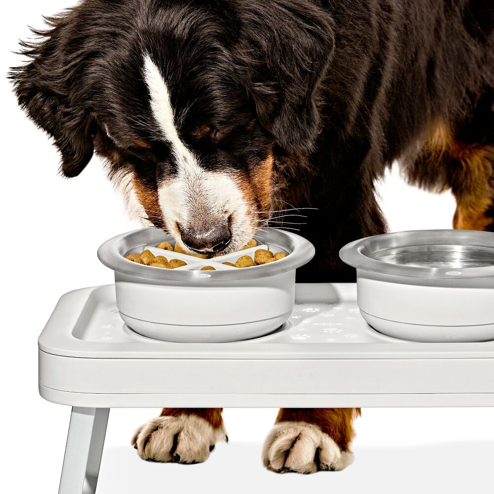 OXO Pet Easy-Clean Slow Feeder - Medium, 2 Cups/489 mL Q6